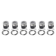 Load image into Gallery viewer, Industrial Injection 89-93 Dodge 12V Mahle Piston Standard Size Coated Tops / Skirts