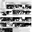 Load image into Gallery viewer, Injen 12-16 BMW 328i F30 N20/N26 2.0L (t) 4cyl Wrinkle Black Short Ram Intake w/ MR Tech &amp; Air Box - Back View
