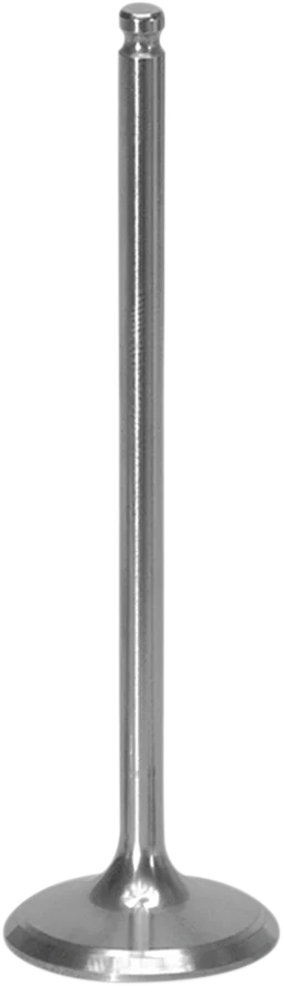 Intake Valve - Side View