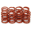 Load image into Gallery viewer, Iskenderian 1.095 Valve Spring Set Outer (8pk) VWE005