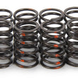 Load image into Gallery viewer, Iskenderian 1.095 Valve Springs 16pk Single w/Damper SP006