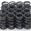 Load image into Gallery viewer, Iskenderian 1.240 Dual Valve Springs 4005
