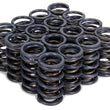 Load image into Gallery viewer, Iskenderian 1.240 Dual Valve Springs 4205