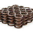 Load image into Gallery viewer, Iskenderian 1.490 Valve Springs 3105D