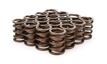 Load image into Gallery viewer, Iskenderian 1.490 Valve Springs 3105D