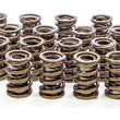 Load image into Gallery viewer, Iskenderian 1.530 Valve Springs 8205