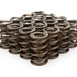 Load image into Gallery viewer, Iskenderian 1.560 Valve Springs 9935