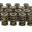 Load image into Gallery viewer, Iskenderian 1.560 Valve Springs 9965