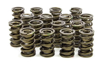 Load image into Gallery viewer, Iskenderian 1.560 Valve Springs 9965