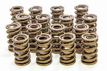 Load image into Gallery viewer, Iskenderian 1.560in Valve Springs 9375 PLUS
