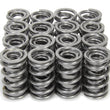 Load image into Gallery viewer, Iskenderian 1.570 Dual Valve Spring Set w/Damper (16pk) 9987RADML