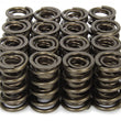 Load image into Gallery viewer, Iskenderian 1.570 Valve Springs 9989RAD