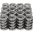 Load image into Gallery viewer, Iskenderian 1.600 Dual RAD Valve Springs 9996RADML