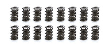 Load image into Gallery viewer, Iskenderian 1.600 Triple Valve Spring Set (16) 1248