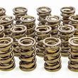 Load image into Gallery viewer, Iskenderian 1.600 Valve Springs 9999RAD