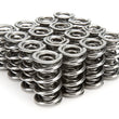 Load image into Gallery viewer, Iskenderian 1.660 Triple Valve Springs Tool Room Steel 1249ML