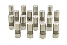 Load image into Gallery viewer, Iskenderian Chevy Solid Lifters 202H