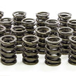 Load image into Gallery viewer, Iskenderian Dual Valve Springs w/Damper - LS1 6105SP