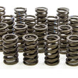 Load image into Gallery viewer, Iskenderian Valve Springs 205D