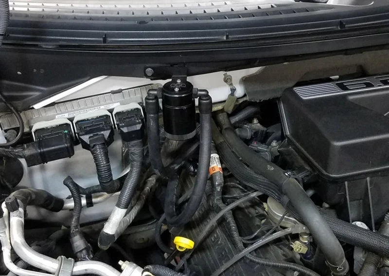 J&L 11-14 Ford F-150/Ford F-150 Raptor 6.2L Passenger Side Oil Separator 3.0 - Black Anodized - Side View