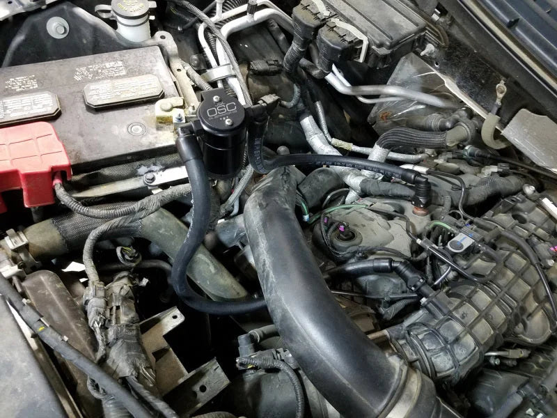 J&L 2011-2025 Ford F-150 2.7L/3.5L/5.0L Passenger Side Oil Separator 3.0 - Black Anodized - Installation View