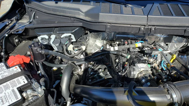J&L 2011-2025 Ford F-150 2.7L/3.5L/5.0L Passenger Side Oil Separator 3.0 - Black Anodized - Additional View 7