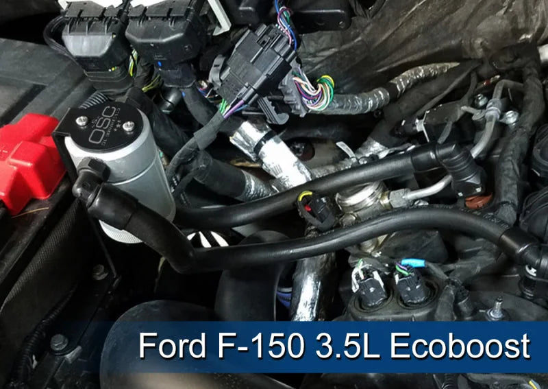 J&L 2011-2025 Ford F-150 2.7L/3.5L/5.0L Passenger Side Oil Separator 3.0 - Clear Anodized - Additional View 6