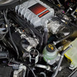 Load image into Gallery viewer, J&amp;L 23-25 Ford F-150 Raptor R Oil Separator 3.0 Passenger Side - Clear Anodized - Side View