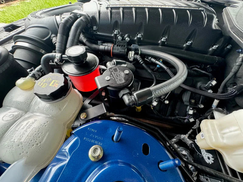 J&L 24+ Ford Mustang 5.0L (w/ Whipple Supercharger) Oil Separator - 3.0 CCV Side Black Anodized - Installation View