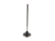 Load image into Gallery viewer, JP Group A/S Exhaust Valve 8111300906