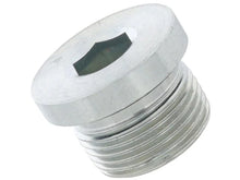Load image into Gallery viewer, JP Group A/S Fuel Tank Fitting Plug 1615652100