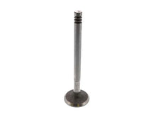 Load image into Gallery viewer, JP Group A/S Intake Valve 8111300206