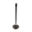 Load image into Gallery viewer, JP Group A/S Intake Valve 8111300206