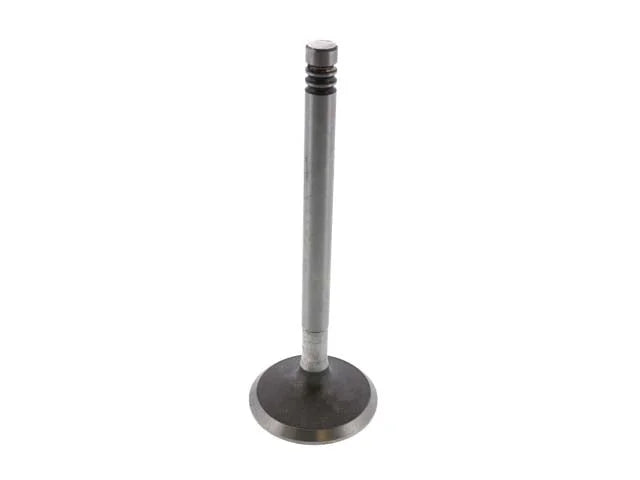 JP Group A/S Intake Valve 8111300606