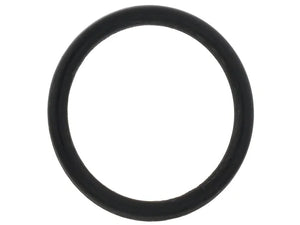 Jaguar Coolant Pipe O-Ring C2Z28262 fits 2014-2020 Jaguar F-TYPE / 2010-2017 Jaguar XF / 2010-2015 Jaguar Xfr / 2013-2015 ...