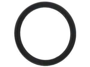 Jaguar Coolant Pipe O-Ring C2Z28262 fits 2014-2020 Jaguar F-TYPE / 2010-2017 Jaguar XF / 2010-2015 Jaguar Xfr / 2013-2015 ...