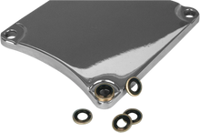 Load image into Gallery viewer, James Gasket Primary Cover Seal - Big Twin JGI-31433-84-A - Side View