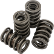 Load image into Gallery viewer, Jims USA Valve Spring Kit - Evolution - Big Twin 1356 - Main Product View