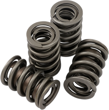Load image into Gallery viewer, Jims USA Valve Spring Kit - Evolution - Big Twin 1356 - Main Product View