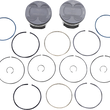 Load image into Gallery viewer, KB Performance Motorcycle Pistons Piston Kit - 124" - +.005" - M8 KB576LCA.005 - Main Product View
