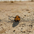 Load image into Gallery viewer, KC HiLiTES FLEX ERA 3 Performance Yellow Combo Beam Lens - Back View