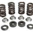 Load image into Gallery viewer, Kibblewhite Precision KIBBLEWHITE VALVE SPRING KIT .450" LIFT