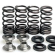 Load image into Gallery viewer, Kibblewhite Precision KIBBLEWHITE VALVE SPRING KIT .475" LIFT