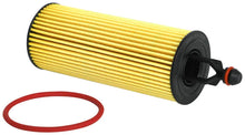 Load image into Gallery viewer, K&amp;N 14-22 Jeep Cherokee 3.6L V6 / 14-23 Chrysler 300 3.6L V6 Oil Filter - Main Product View