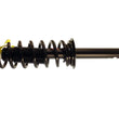 Load image into Gallery viewer, KYB Shocks &amp; Struts Strut Plus Rear Honda Accord 03-07 - Back View