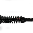 Load image into Gallery viewer, KYB Shocks &amp; Struts Strut Plus Rear Honda Civic 1996-00 - Additional View 5