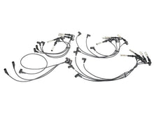 Load image into Gallery viewer, Karlyn Spark Plug Wire Set 113V