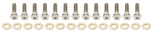 Load image into Gallery viewer, Keizer Aluminum Wheels 10in Beadlock Bolt Kit Titanium 10TIEBLKIT