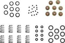 Load image into Gallery viewer, Kibblewhite Precision Beehive Shim Spring Kit 20-23950 - Main Product View