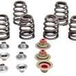 Load image into Gallery viewer, Kibblewhite Precision Beehive Spring Kit - Titanium
